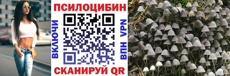 Псилоцибиновые грибы MAGIC MUSHROOMS  кракен как зайти  Лодейное Поле 